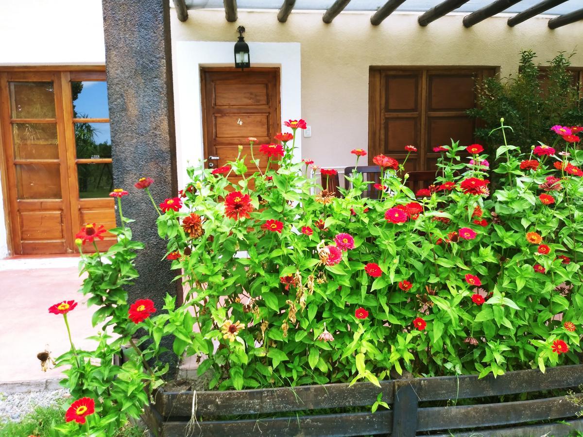 Hôtel Finca Los Almendros à Tunuyán Extérieur photo